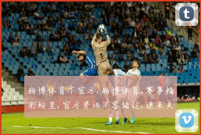 狗博体育下官方,狗博体育,赛事精彩纷呈,官方资讯不容错过,速来关注