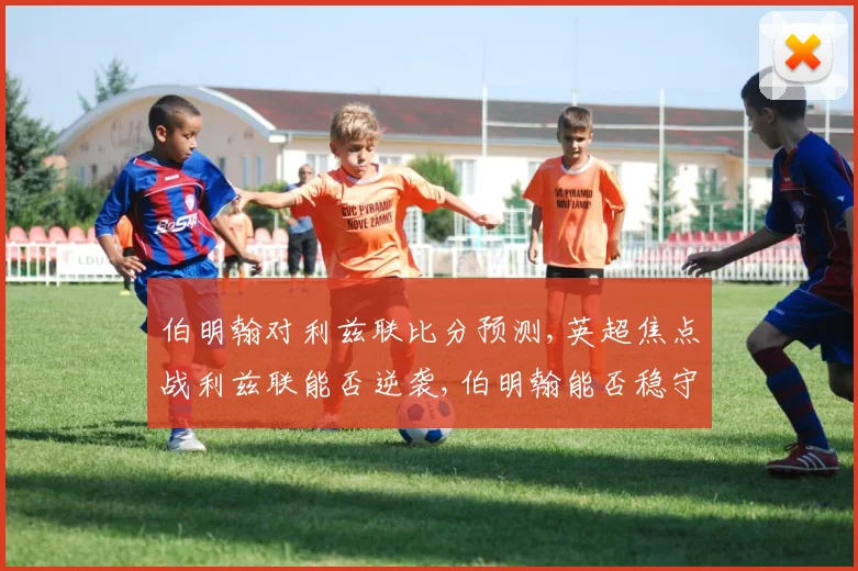 伯明翰对利兹联比分预测,英超焦点战利兹联能否逆袭,伯明翰能否稳守